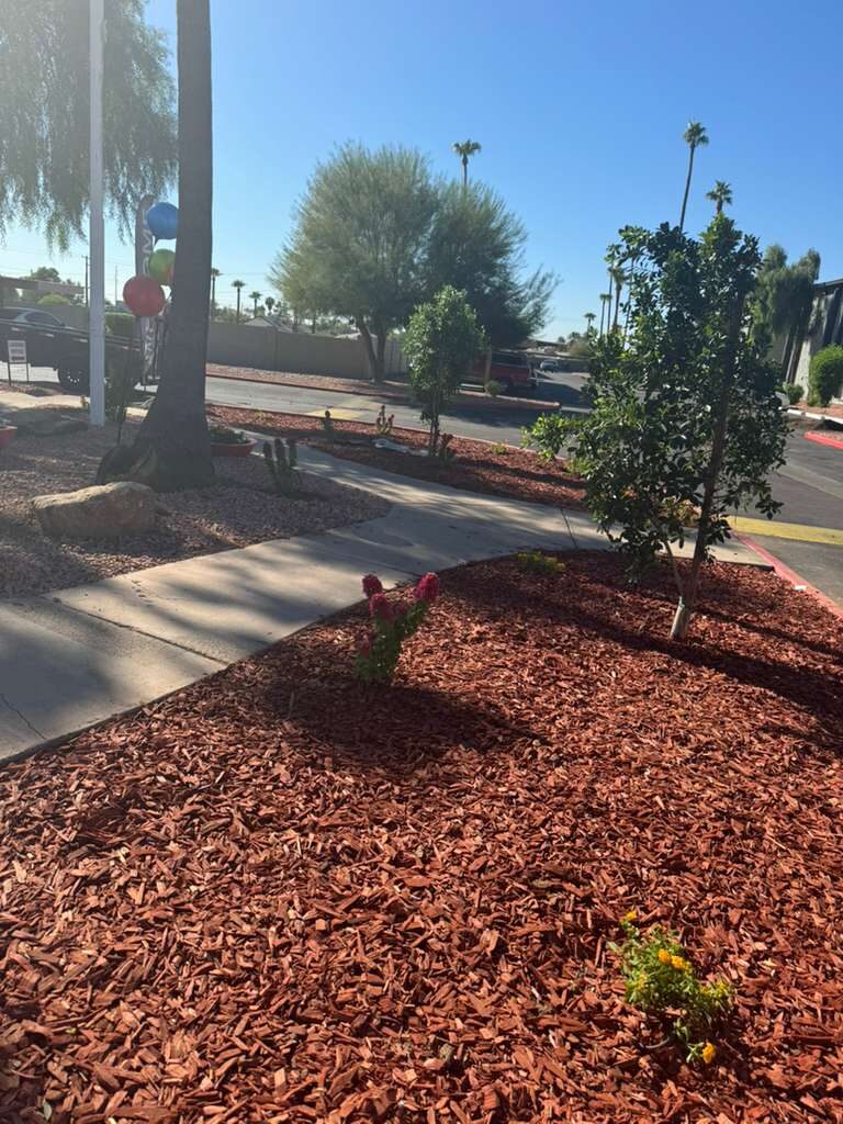 Jardin con mulch